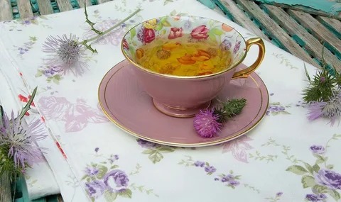 تصویر 3 از عرق خار مریم برای کبد چرب با عصاره گیاهی طبیعی
